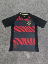 Flamengo Special Edition  Fans 1:1 Quality Soccer Jersey   25-26