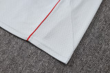 Bayern Munich Polo Fans  Grey 1:1 Quality Soccer Jersey  25-26