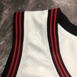 Chicago Bulls City Edition  White  #2 BALL 1:1 Quality NBA  Season Jerseys  2023