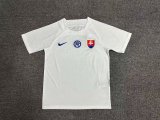 Slovakia away Fans  1:1 Quality Soccer Jersey   24-25