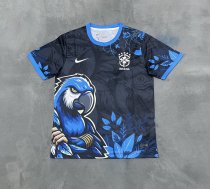 Brazil Special Edition Fans 1:1 Quality Soccer Jersey 25-26
