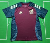Mexico Special Edition Fans  1:1 Quality Soccer Jersey   24-25
