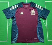 Mexico Special Edition Fans  1:1 Quality Soccer Jersey   24-25