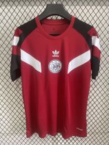 Ajax Special Edition Fans 1:1 Quality Soccer Jersey   25-26