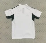 Celtic Special Edition Fans  1:1 Quality Soccer Jersey  25-26