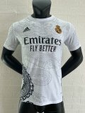 Real Madrid  Special Edition  Summary Player  1:1 Quality Soccer Jersey   24-25