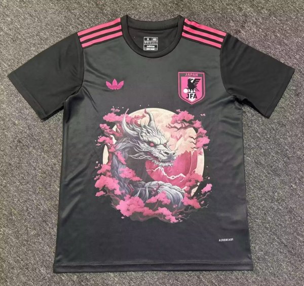 Japan Special Edition  Fans 1:1 Quality Soccer Jersey  24-25