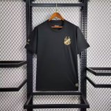 Santos Special Edition fans 1:1 Quality Soccer Jersey   24-25