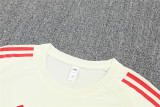 Liverpool  Training  Yollow Fans Kits  1:1 Quality Soccer Jersey 25-26 (Kids And Man )