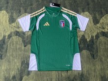 Italy Training  Special Edition Fans 1:1 Quality Soccer Jersey  26-27（2026）