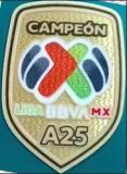 Club America  Goalkeeper Black  Kids 1:1 Quality Soccer Jersey 25-26