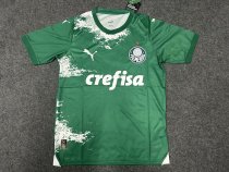 Palmeiras Special Edition  fans 1:1 Quality Soccer Jersey    24-25