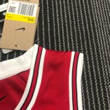 Chicago Bulls Red #91 RODMAN 1:1 Quality NBA  Season Jerseys  75 Year