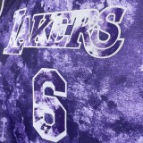 Los Angeles Lakers  Purple Honor Edition 6 James  round neck  NBA Jerseys 2023