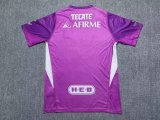 Tiger Goalkeeper  player 1:1 Quality Soccer Jersey  25-26