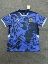 Paraguay  Away  fans 1:1 Quality Soccer Jersey  24-25
