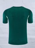 Arsenal Training Special Edition Player Green 1:1 Quality Soccer Jersey    25-26