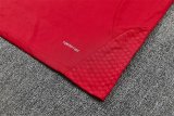 Spain Training Tracksuit Red (Kids And Man 10-2XL)  1:1  26-27