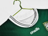 Ireland GGA Kerry Fans 1:1 Quality Soccer Jersey  26-27