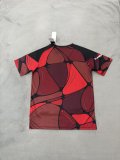 Flamenco Special Edition Fans  1:1 Quality Soccer Jersey  26-27
