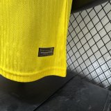 Brazil Special Edition  player 1:1 Quality Soccer Jersey  26-27 (2026)