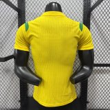 Brazil Special Edition  player 1:1 Quality Soccer Jersey  26-27 (2026)