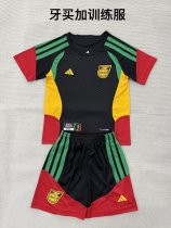 Jamaica Training （16-2XL  Kids and  Man）Fans  1:1 Quality Soccer Jersey  26-27 （2026）