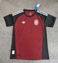 Spain 2026 World Cup Goalkeeper  1:1 Quality Soccer Jersey
