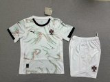 Copy Portugal  Away 1:1 Quality Soccer Jersey  25-26