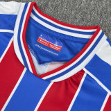 NKETIAH #9 Crystal Palace Home Fans Soccer Jersey 2025/26  (CUP Font 杯赛字体 ) ★★