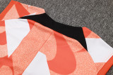 2025 In Milan  Vest Training Jersey(A Set)