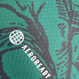 2023/24 Italy Special Edition Green Fans Soccer Jersey 带胸前广告