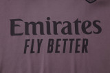 2025/26 ARS Grey Purple Training Jersey(A Set)