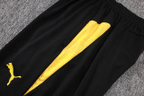 2026 BVB Yellow Vest Training Jersey (A Set)