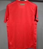 2010 Portugal Home Red Retro Player Version Soccer Jersey 球员版