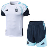 2026/27 Argentina Beige Training Jersey (A Set)