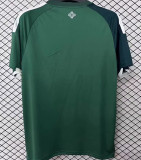 2026/27 North Ireland Home Green Fans Soccer Jersey