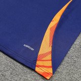 2025 JUV Sapphire Blue Training Jersey(A Set)