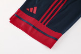 2025/26 AD Sapphire Blue Training Jersey(A Set)