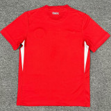 2024/25 Turkey Away Red Fans Soccer Jersey