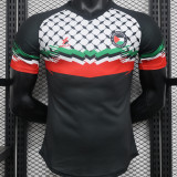 2024 Palestine Player Version Soccer Jersey