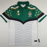 2024/25 Palestine Green White Fans Soccer Jersey