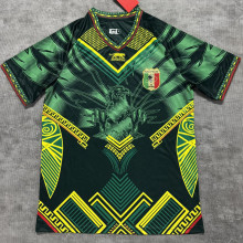 2026/27 Mali Home Green Fans Soccer Jersey