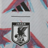 2023 Japan Reversible Windbreaker 双面