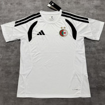 2026/27 Algeria Special Edition Fans Soccer Jersey