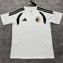 2026/27 Algeria Special Edition Fans Soccer Jersey