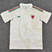 2026/27 Wales Away White Fans Soccer Jersey