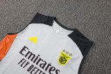 2025/26  Benfica Grey Vest Training Jersey(A Set)