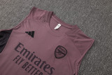 2025/26  ARS Grey Purple Vest Training Jersey(A Set)