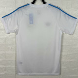 2025/26 Argentina Retro Style Fans Soccer Jersey